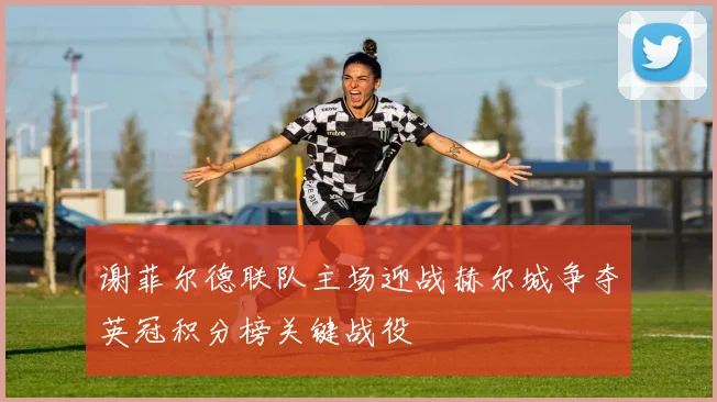 谢菲尔德联队主场迎战赫尔城争夺英冠积分榜关键战役