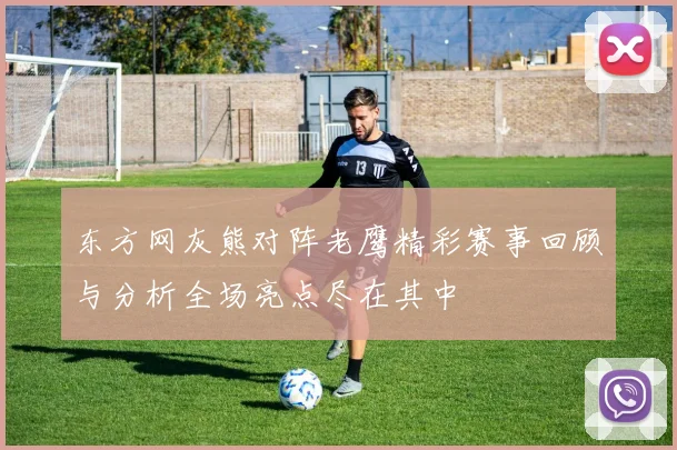 东方网灰熊对阵老鹰精彩赛事回顾与分析全场亮点尽在其中