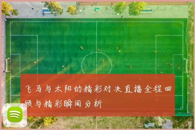 飞马与太阳的精彩对决直播全程回顾与精彩瞬间分析