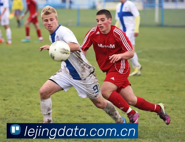 乐竞体育平台生态图